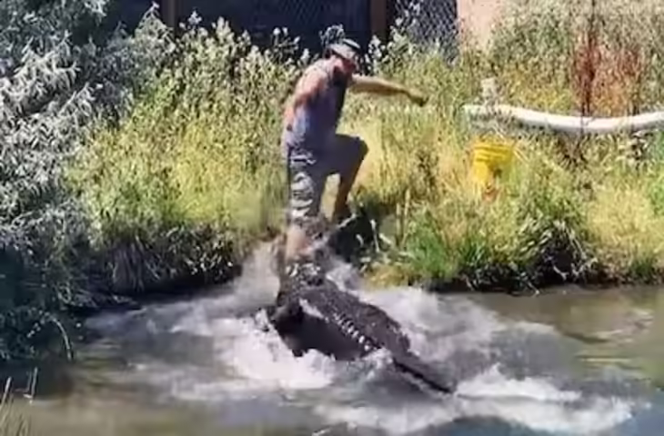 खतरनाक मगरमच्छों के बीच घुस गया शख्स, लेकिन फिर जो हुआ उसका वीडियो देख दहल जाएगा कलेजा&nbsp;