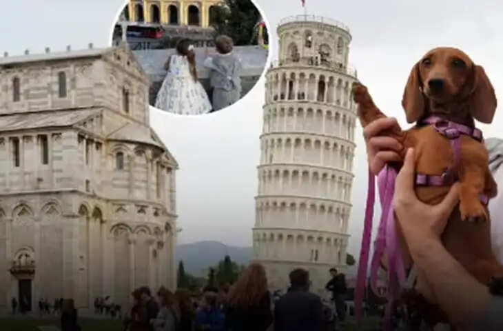 इटली में बदल रही परिवार की तस्वीर, बच्चों से ज्यादा बढ़ी पालतू जानवरों की संख्या; जन्मदर बनी बड़ी चिंता