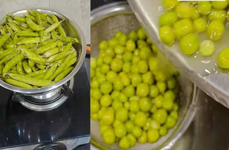 मटर छीलने का सबसे तगड़ा जुगाड़ हुआ वायरल, देख ली ट्रिक तो जीवन में नहीं करेंगे बेकार की मेहनत, Viral Video