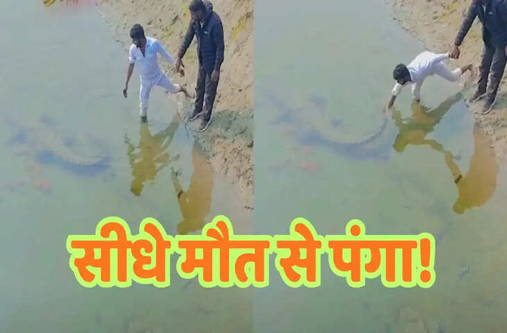 इसे कहते हैं मौत को मुंह चिढ़ाना, पानी में शांत बैठे मगरमच्छ की पूंछ पकड़कर खींचने लगा युवक