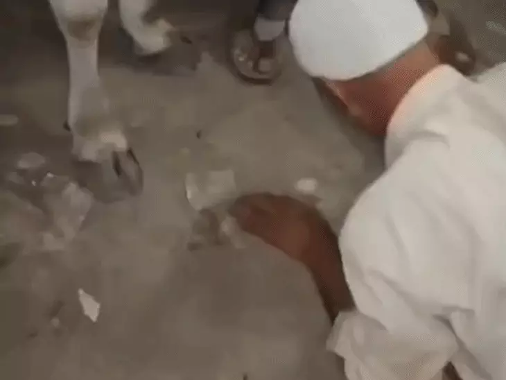 गुना में गाय को पैर मारने के आरोप पर विवाद: बुजुर्ग से माफी मंगवाने का वीडियो वायरल, पुलिस ने शुरू की जांच