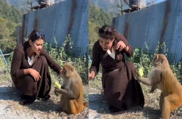 Viral Video: लड़की ने बढ़ाया दोस्ती का हाथ, बंदर ने दिया ऐसा मजेदार रिएक्शन कि हंसते-हंसते लोटपोट हो जाएंगे आप​​​​​​​