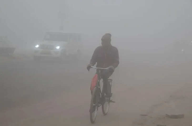 दौसा में कोहरे का असर जारी, तापमान में दर्ज हुई गिरावट