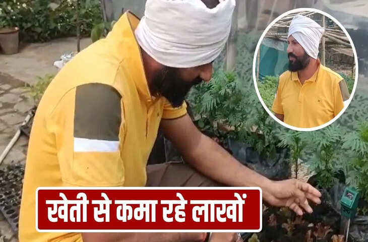 नौकरी छोड़ मिट्टी से जुडा, अब सालाना आय 20 लाख, भागलपुर के किसान गुंजेश गुंजन की कहानी जान चौंक जाऐंगे