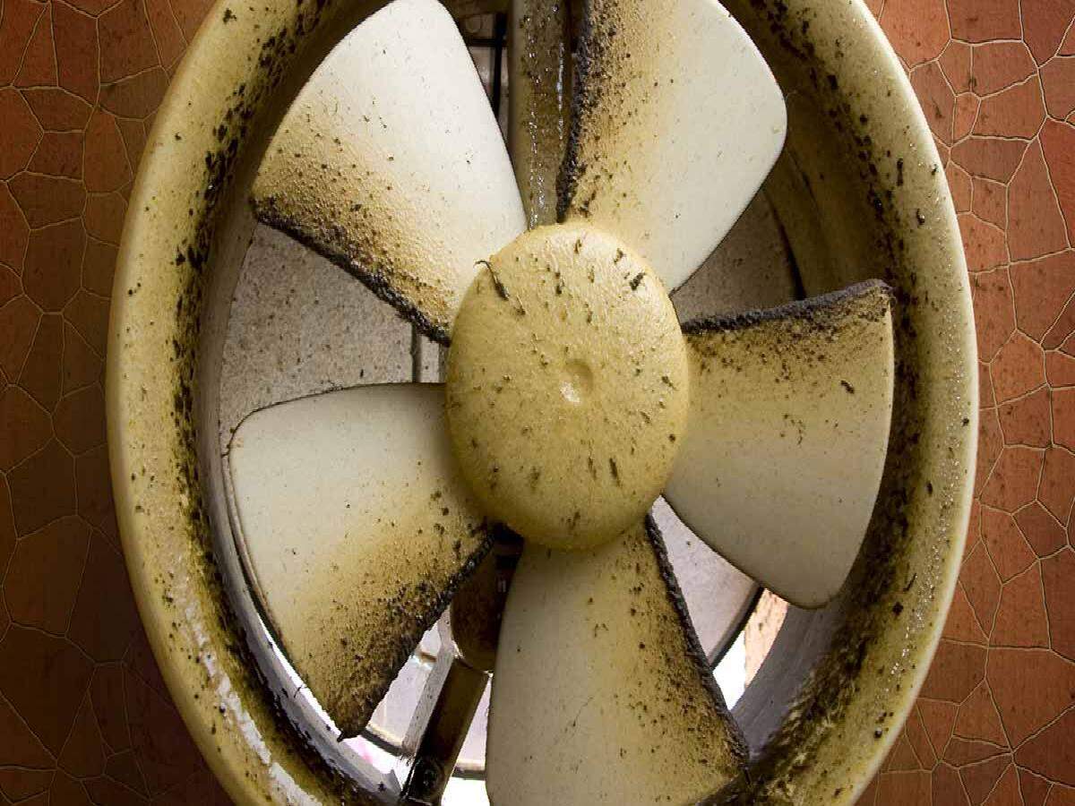 The grease and dust on the exhaust fan will vanish in no time, just adopt these tricks today