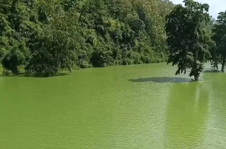 Seoni Tourism: बरगी बांध के बैकवाटर में दिखा कुदरत का अद्भुत नजारा, पानी में उतर आई पहाड़ियों की तस्वीर