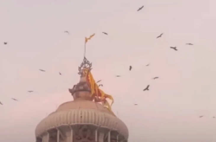 पुरी जगन्नाथ मंदिर के ऊपर मंडराती चीलें क्या दे रही हैं किसी बड़ी आपदा का संकेत? वायरल वीडियो ने बढ़ाई चिंता