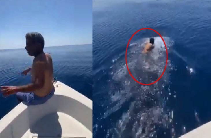व्हेल शार्क को देखते ही शख्स ने नाव में से लगा दी समुद्र में छलांग, बैठ गया मछली की पीठ पर, फिर देखिए क्या हुआ