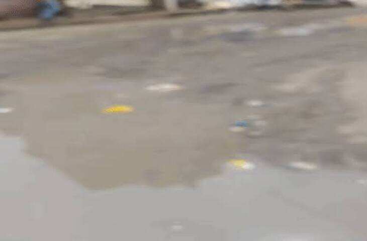 Indore News: इंदौर की JNNURM मल्टियों में उखड़ रहा प्लास्टर, दीवारों में दरारें देख सहमे परिवार; 2,012 फ्लैटों में रह रहे लोग