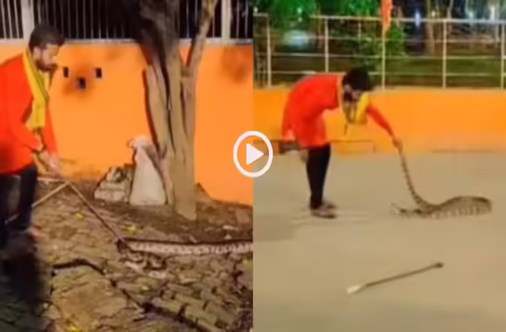 यमराज से तो डर, मंदिर में घुसा 13 फीट लंबा अजगर, शख्स ने खदेड़ कर किया रेस्क्यू, देखें वीडियो