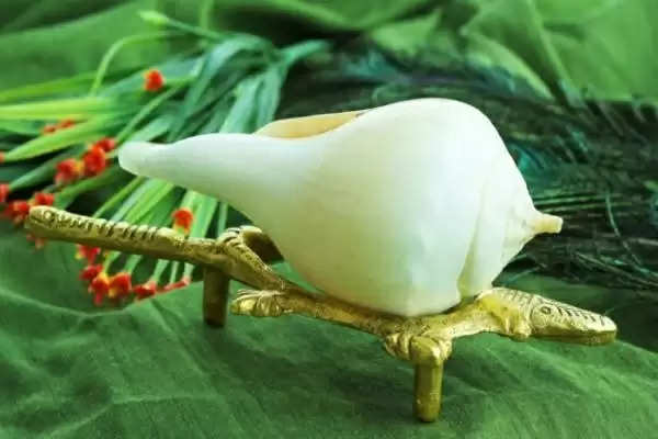 Do these conch remedies in maargsheersh month 2021 you will get lot of money and prosperity
