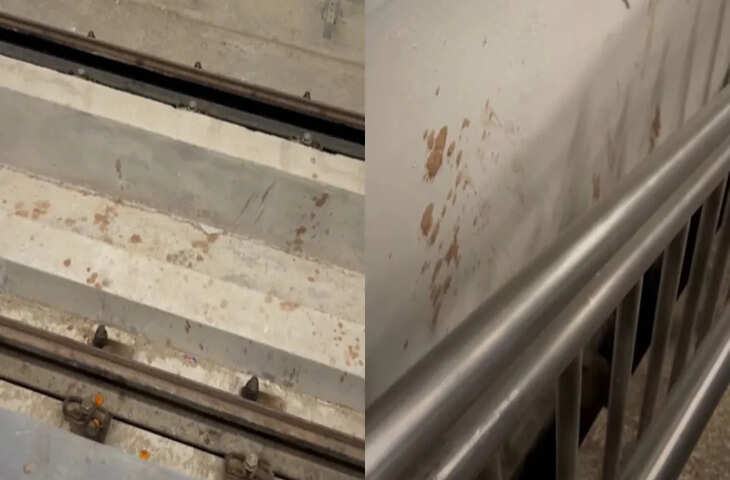 गुटका खाने वाले लोग यहां भी नहीं रुके, पटना मेट्रो का Video बनाकर दिखाई लोगों की हरकत