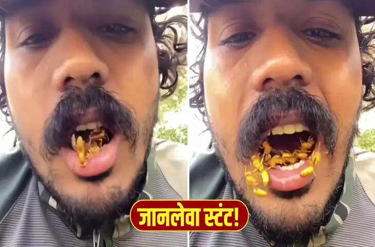 शख्स ने मुंह में छिपाए दर्जनों ततैया, रोंगटे खड़े कर देगा ये वीडियो