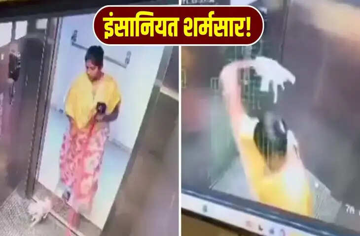  महिला ने पिल्ले के साथ लिफ्ट में की दरिंदगी, CCTV फुटेज देख लोगों का खौल गया खून