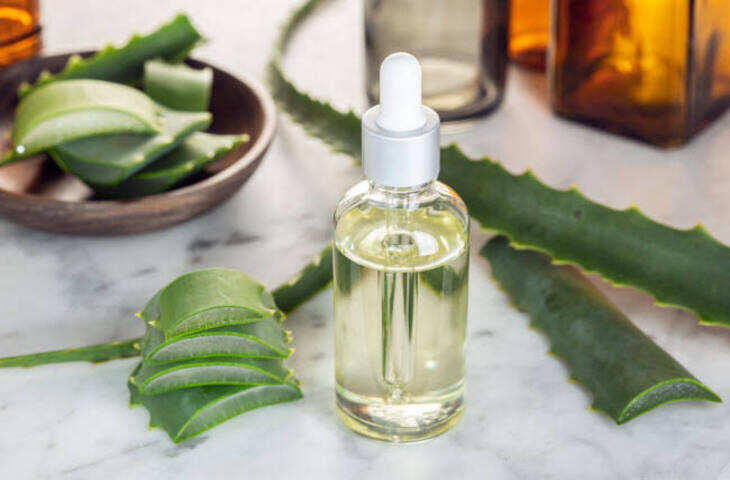 50 की उम्र में भी दिखेगी जवां त्वचा! रात में चेहरे पर लगाएं ये देसी Anti Aging Serum, झुर्रियों से मिलेगी राहत