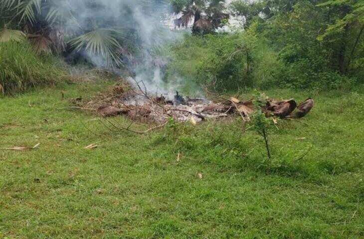 नालंदा में नवविवाहिता की संदिग्ध मौत से सनसनी, मायके वालों ने लगाया हत्या कर शव जलाने का आरोप