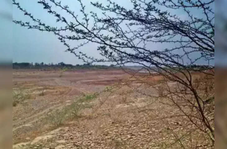 बांसवाड़ा में अफसरों ने कर दिया 40 करोड़ का घोटाला, 131 बीघा सरकारी जमीन में भ्रष्टाचार का हुआ ख़ुलासा&nbsp;