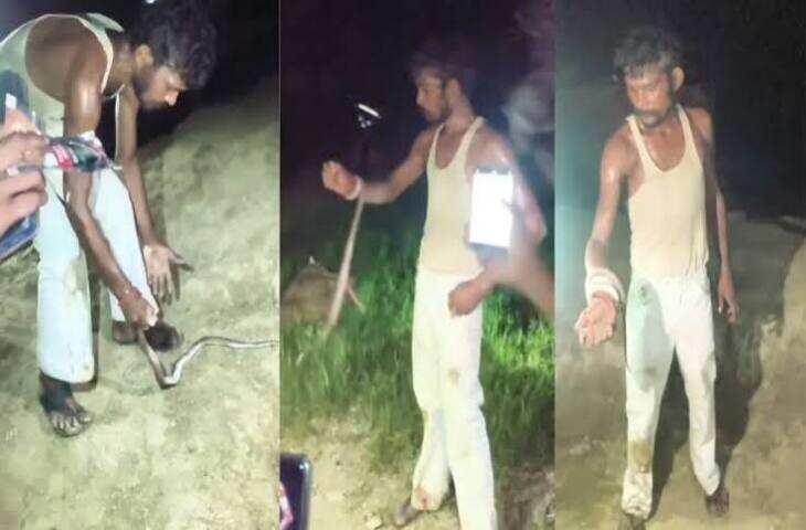 सांप ने डसा तो गुस्से में उसी को काट लिया, शख्स की हरकत देख लोग रह गए हैरान