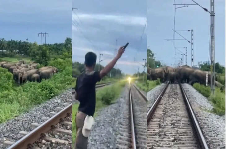 हाथियों का झुंड ट्रैक पर आया तो शख्स ने दिखाई समझदारी, ट्रेन रोककर बचाई कई जानें; VIDEO देख लोग बोले - 'रियल हीरो'