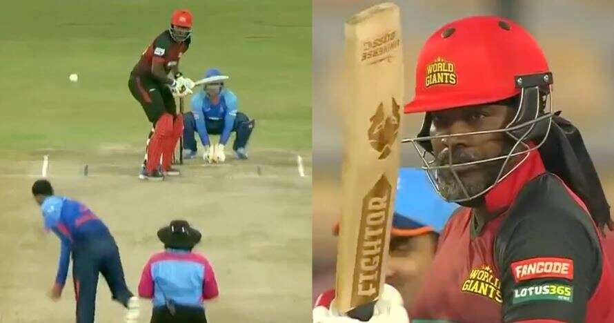 llc 2023 chris gayle111111111``12221111