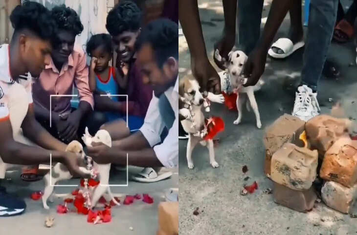 खाली दिमाग शैतान का घर! इन लड़कों की मस्ती देख आप भी अपनी हंसी नहीं रोक पाएंगे