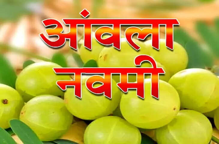 amla navami vrat 2022 date shubh muhurat puja vidhi and significance&nbsp;