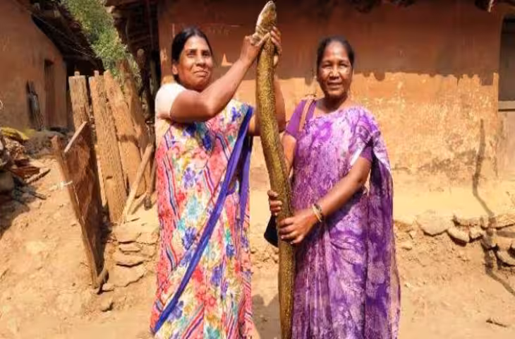 झारखंड के गांव में मिली 8 फीट लंबी विचित्र मछली, 12 किलो वजन देख हैरान रह गए ग्रामीण