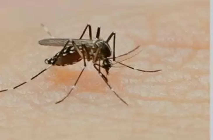Gurgaon में डेंगू के दो नए मामले, कुल मरीजों की संख्या बढ़कर 312 हुई