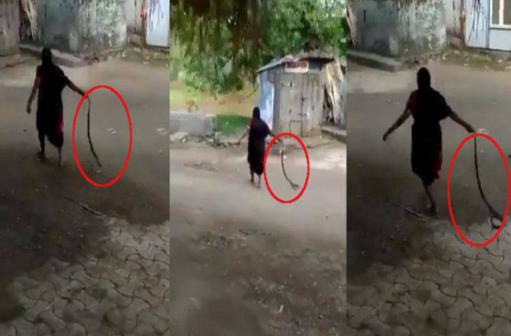घर में घुसा खतरनाक कोबरा तो दादी ने रस्सी की तरह पकड़ा और..देखकर रह जाएंगे हैरान