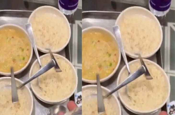 हमारे रोजमर्रा के जीवन का अनिवार्य हिस्सा, वायरल वीडियो ने बदल दी फीड की दुनिया