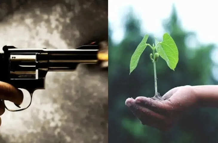 शस्त्र लाइसेंस चाहिए तो पहले पेड़ लगाओ, उत्तर प्रदेश के इस जिले में नया नियम