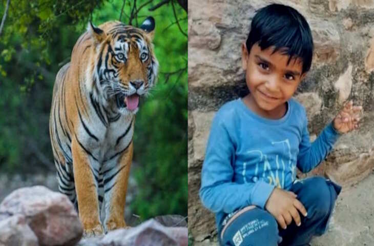 रणथंभौर में दर्दनाक हादसा! बाघ ने 7 साल के मासूम को बनाया शिकार, त्रिनेत्र गणेश मंदिर का रास्ता इतने दिनों के लिए बंद&nbsp;