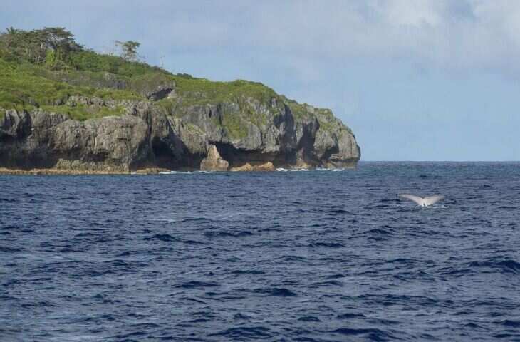 Pacific Ocean पर मंडराया खतरा! वैज्ञानिकों ने बताया क्यों लगातार छोटा हो रहा है दुनिया का सबसे बड़ा महासागर