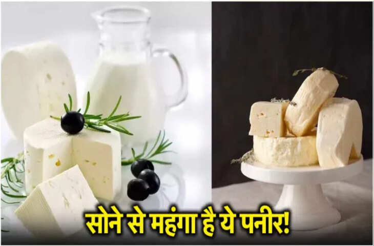 &ldquo;सबसे महंगा पनीर!&rdquo; दुनिया का ऐसा चीज़ जो सुनकर उड़ जाएंगे होश
