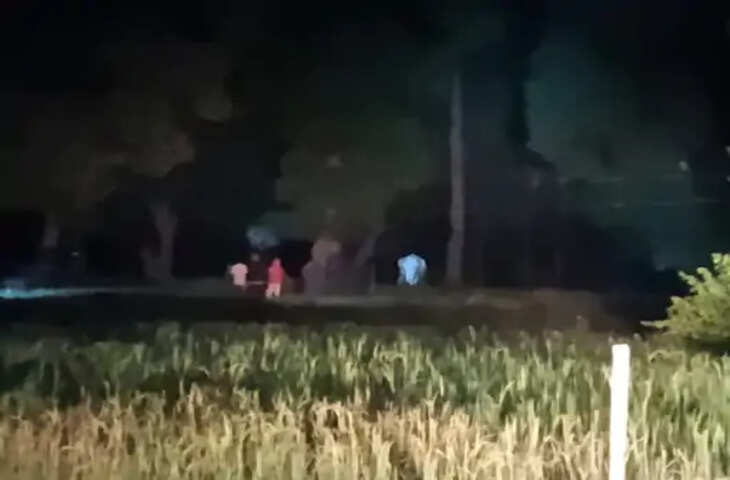 बांधवगढ़ में जंगली हाथियों की मूवमेंट से ग्रामीण परेशान, खेतों और गांवों तक पहुंच रहा झुंड; मिर्ची का धुआं और टॉर्च बन रहे सहारा