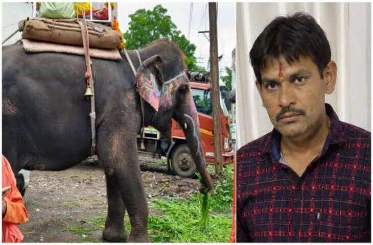 हाथी को प्यार से खिला रहा था गुड़, तभी गुस्साए गजराज ने कर दिया हमला, Video देखकर सहम गए लोग