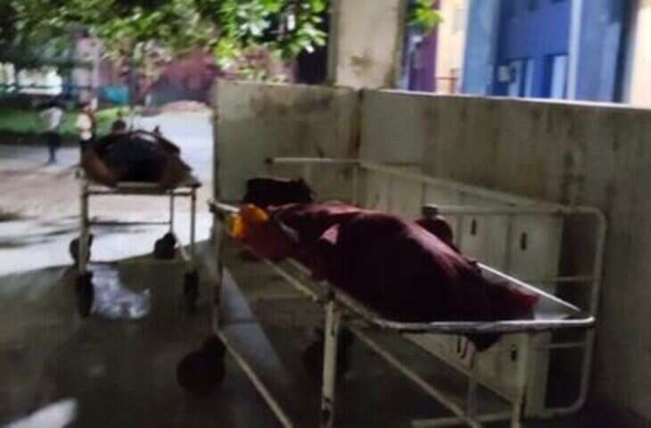 बहू ने ससुर पर लगाए गंभीर आरोप, पति को कट्टा दिखाकर धमकाने का भी दावा; पुलिस जांच में जुटी