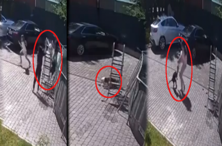 बच्चे को जबरदस्ती खींचकर ले जाने लगा बंदर, डरकर भागने लोग, मारने के बाद भी नहीं छोड़ा और फिर..