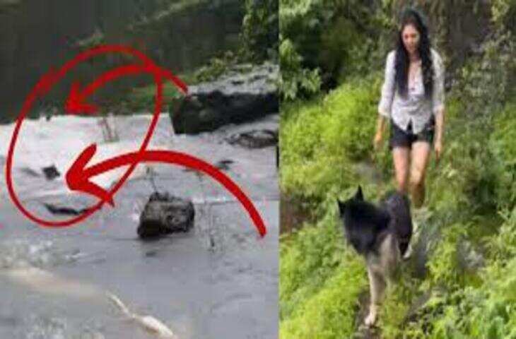 सो रहे कुत्ते का पैर पकड़ बना दी चखरी, वीडियो देख गुस्साए लोग, बोले- नर्क में यह भी ऐसे ही घूमेगा