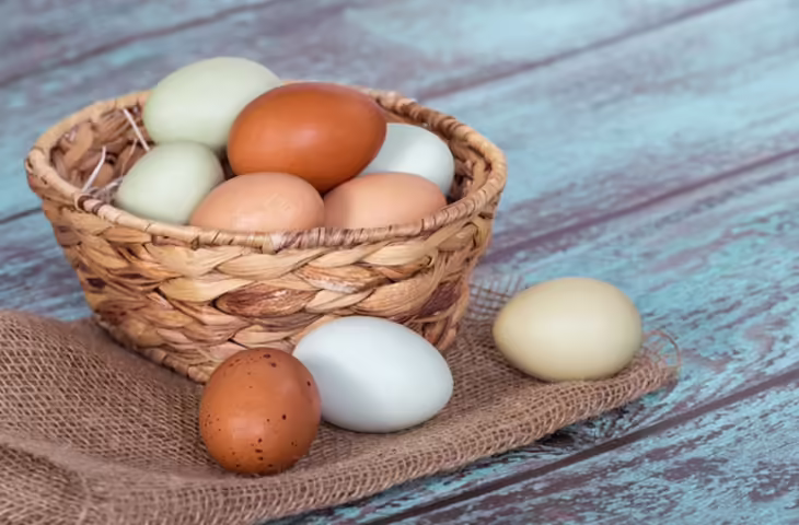 पानी में तैरता अंडा तो हो जाए सावधान! Egg Testing के ये 3 तरीके बताएंगे असली और नकली का फर्क​​​​​​​