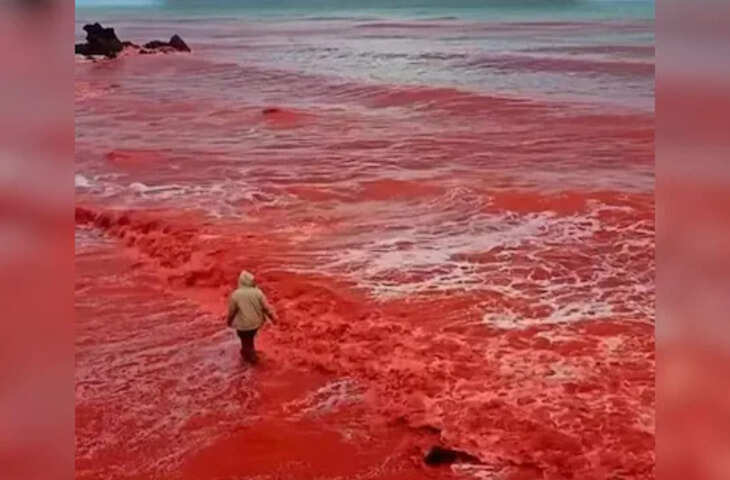 खून की बारिश के बाद लाल रंग में बदल गया समुद्र तट, Viral Video देख उड़े लोगों के होश&nbsp;