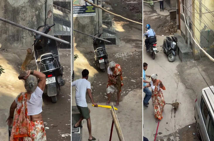 बुजुर्ग महिला और बंदर की झड़प का वीडियो वायरल, सोशल मीडिया पर बहस तेज