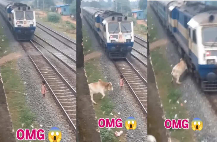 जाको राखे साइयां&hellip; वायरल वीडियो में भगवान् बनकर आई गौमाता, वरना ट्रेन के नीचे आने वाली थी बच्ची&nbsp;