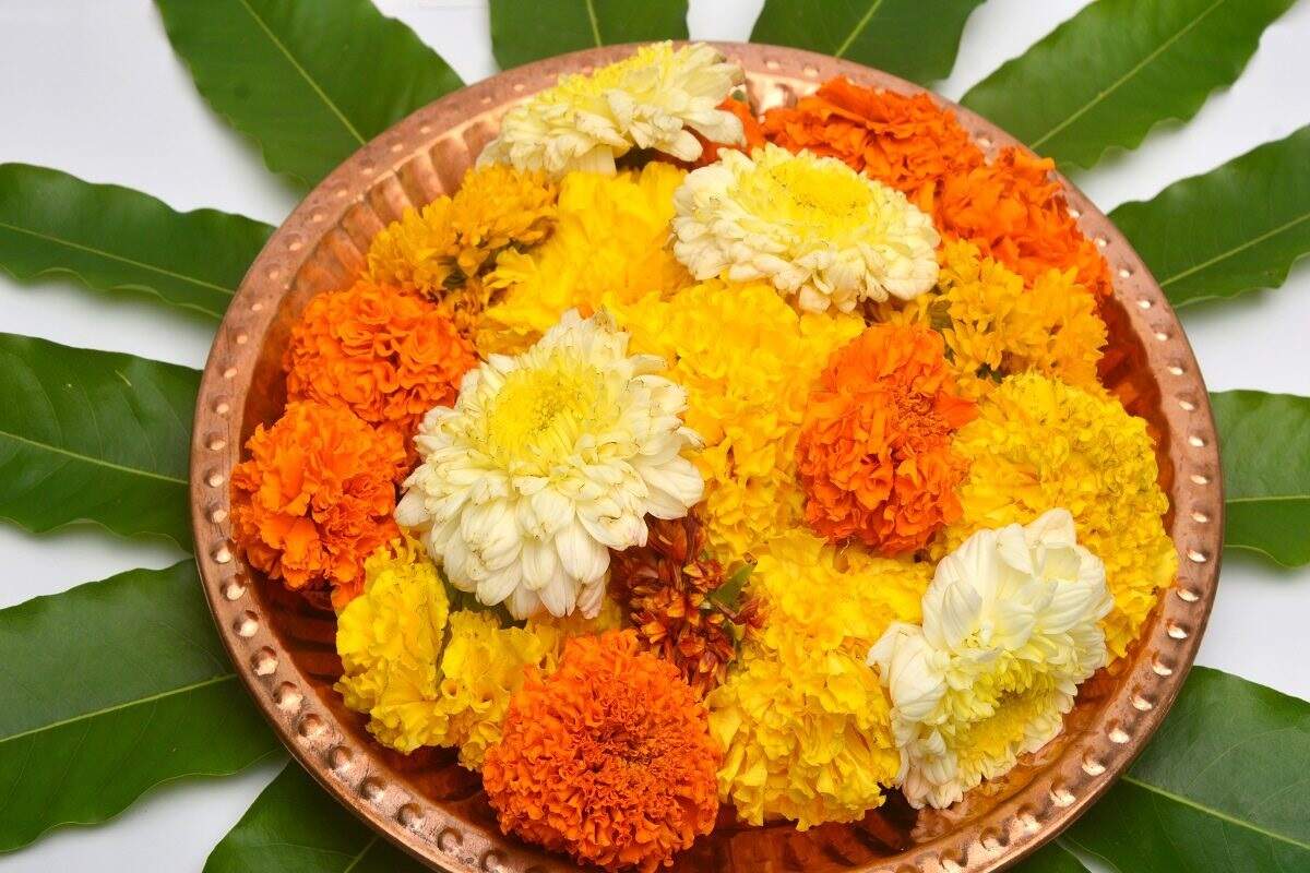 magh month 2024 dos and donts on magh month&nbsp;