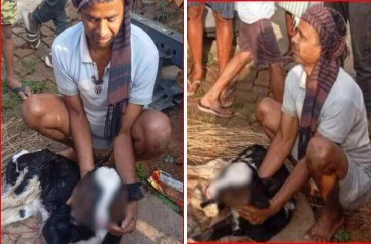 मुंगेर में कुदरत का अद्भुत नजारा, गाय ने जन्म दिया अनोखे बछड़े को, वीडियो में देख अआप भी रह जाएंगे दंग&nbsp;