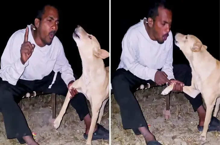 फनी वीडियो वायरल: कंटेंट क्रिएटर राजू कुमार की मिमिक्री ने इंटरनेट पर मचाई धूम