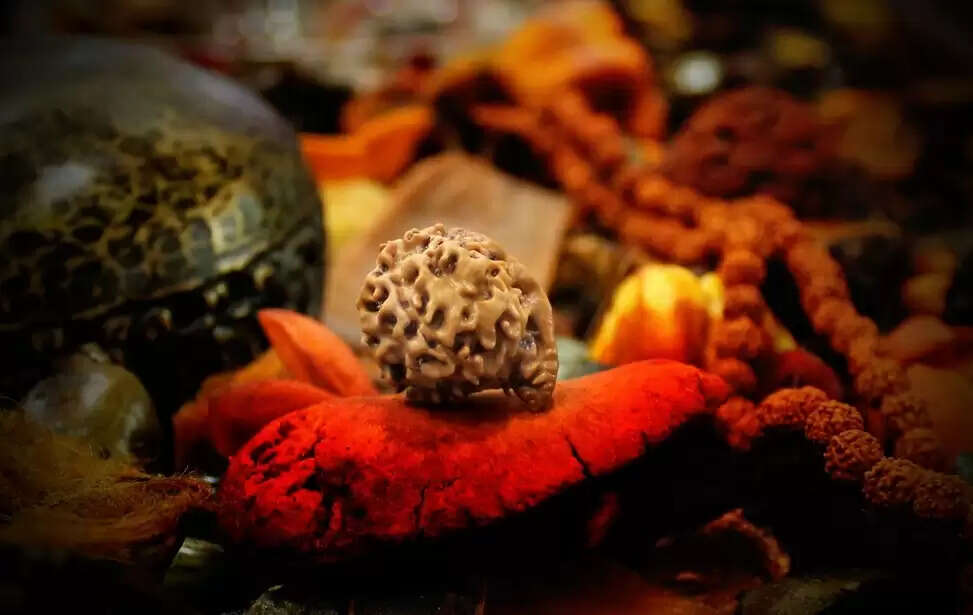 Rudraksh mala astrology what not to do after wearing rudraksha