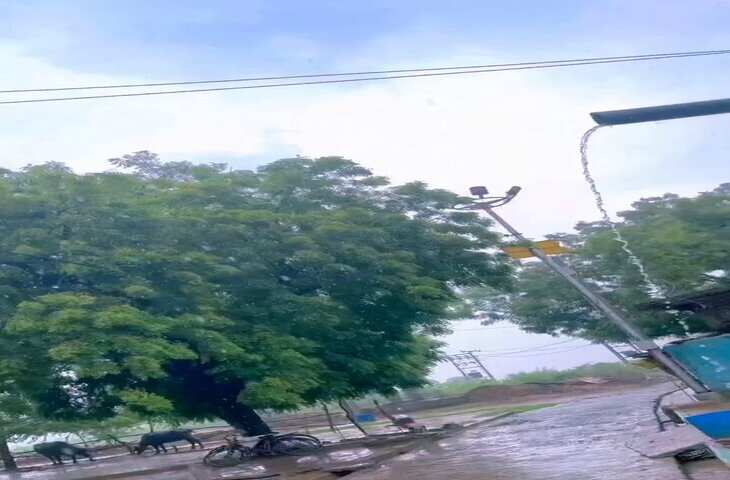 बारिश में बजा &lsquo;टिप-टिप बरसा पानी&rsquo; और झूम उठे चाचा! अनोखे डांस का VIDEO सोशल मीडिया पर वायरल