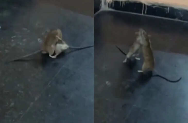 आज तो बड़ा मैटर हो गया यहां