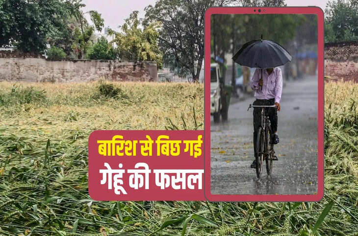 यूपी में आंधी-तूफान का कहर, 11 की मौत; फसलों को भारी नुकसान